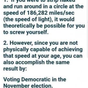 Voting democrat.jpg