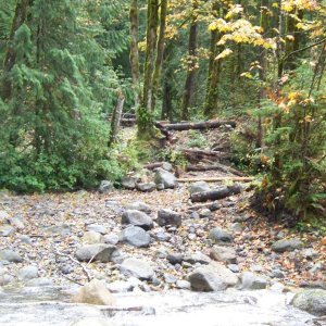 Old May Creek Corssing Restoration taking hold.jpg
