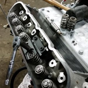 valve springs.jpg