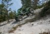 Mountainside Offroad Park 9-3-11 357.jpg