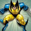 wolverine_288x288.jpeg