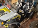 rzr2.jpeg