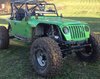 Green TJ monster.jpg