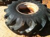 tires 022.jpg