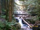 Dangerous and rotting bridge across May Creek.jpg