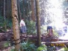 David Way & Helpers during Rotten Bridge Removal.jpg