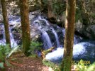 Lovely little May Creek Waterfalls.jpg