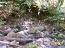 Old wooden Pipe exposed by a wash out.jpg