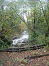 Looking back at the old crossing of May Creek.jpg