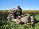 2010 mule deer archery 010.jpg