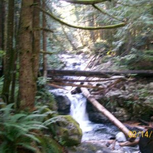 Dangerous and rotting bridge across May Creek.jpg