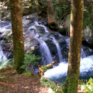 Lovely little May Creek Waterfalls.jpg