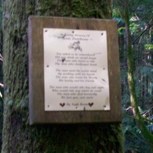 Interesting Sign nailed to tree near Rotten Bridge being removed.jpg