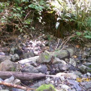 Old wooden Pipe exposed by a wash out.jpg