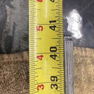 IMG_0767.jpeg