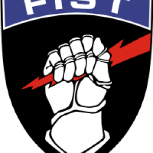 FIST-2.png