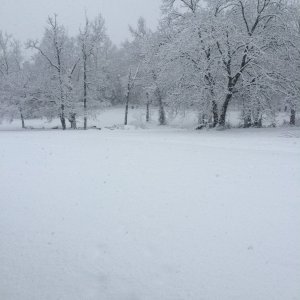 yard snow.JPG