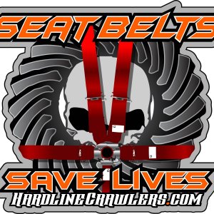Seat Belt_1.jpg